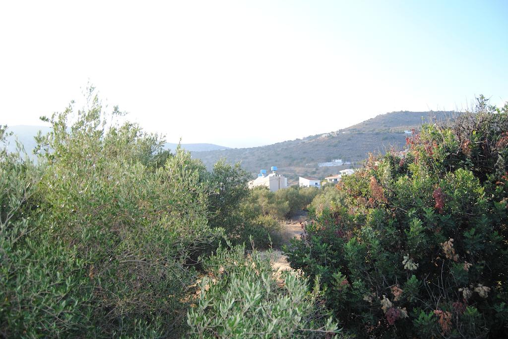 אלונדה Sailors Apartments מראה חיצוני תמונה